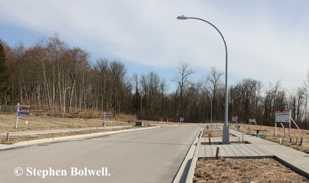 A woodland disappears to urban development only a short walk from the eagles nest. 