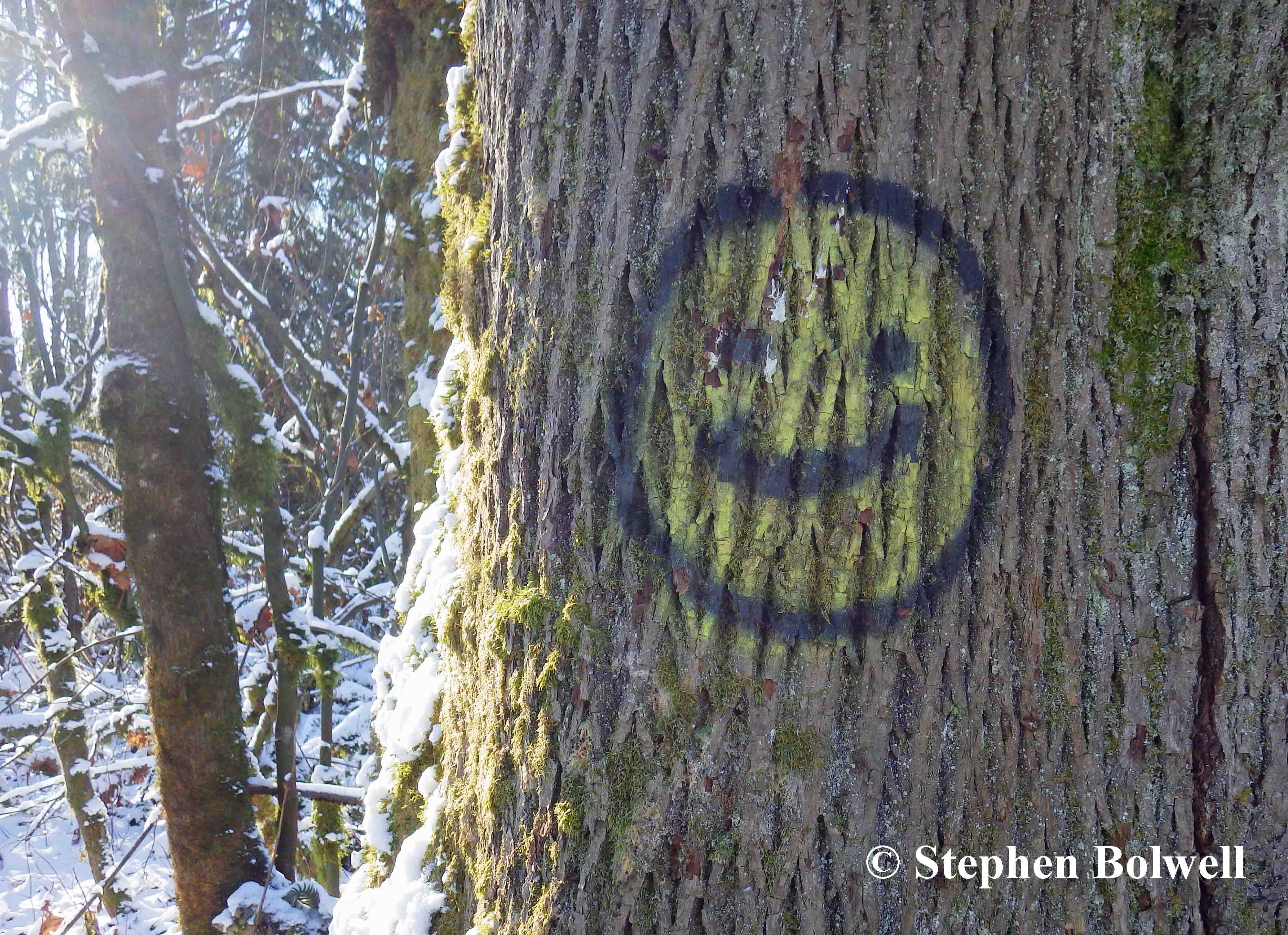 Some people say we have a natural fear of the forest, and that may be so, but inn general the woods are a safer place than the suburbs or the city where people tend to be a good deal more dangerous than vegetables.