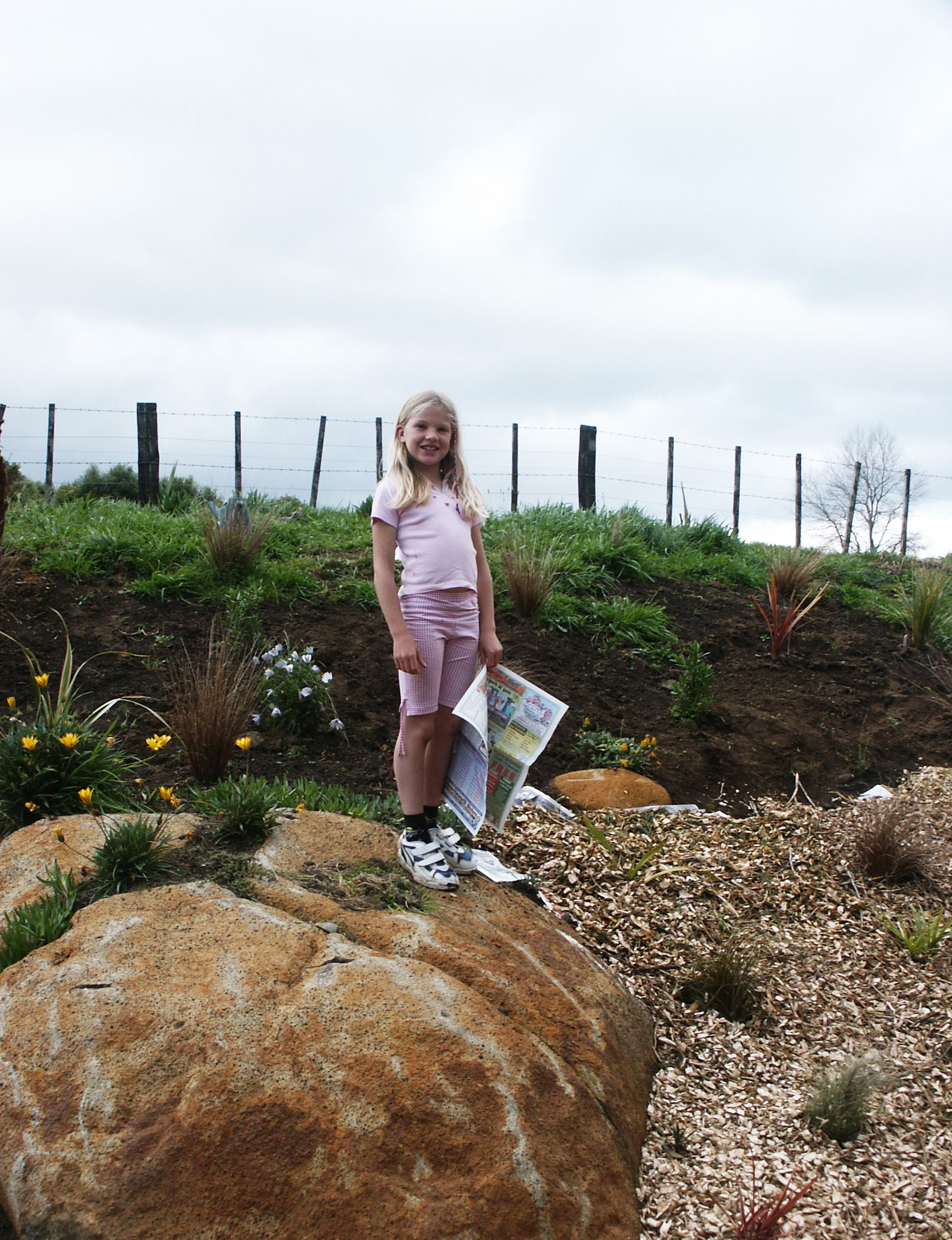 My brother-in-law Steve organises a delivery of wood chip pings. My daughter Alice lays newspaper and then helps me spread the chips on the banks to inhibit weed growth.