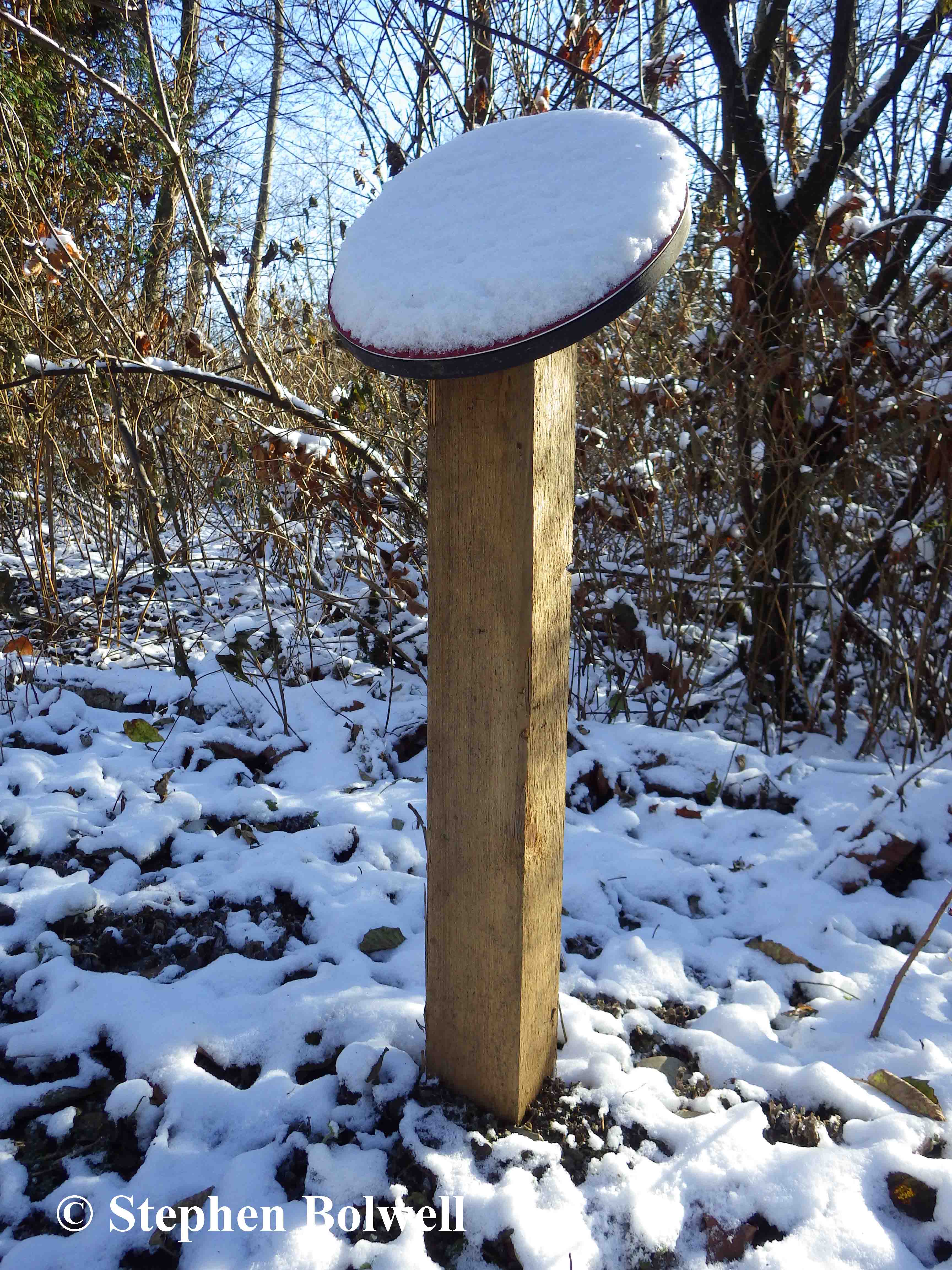 These signs do have their uses in cold weather - I know exactly how cold it is at the point when the snow begins to slide off the top board - to reveal rhyming details for a woodland dweller, presumably with the intention of engaging children.