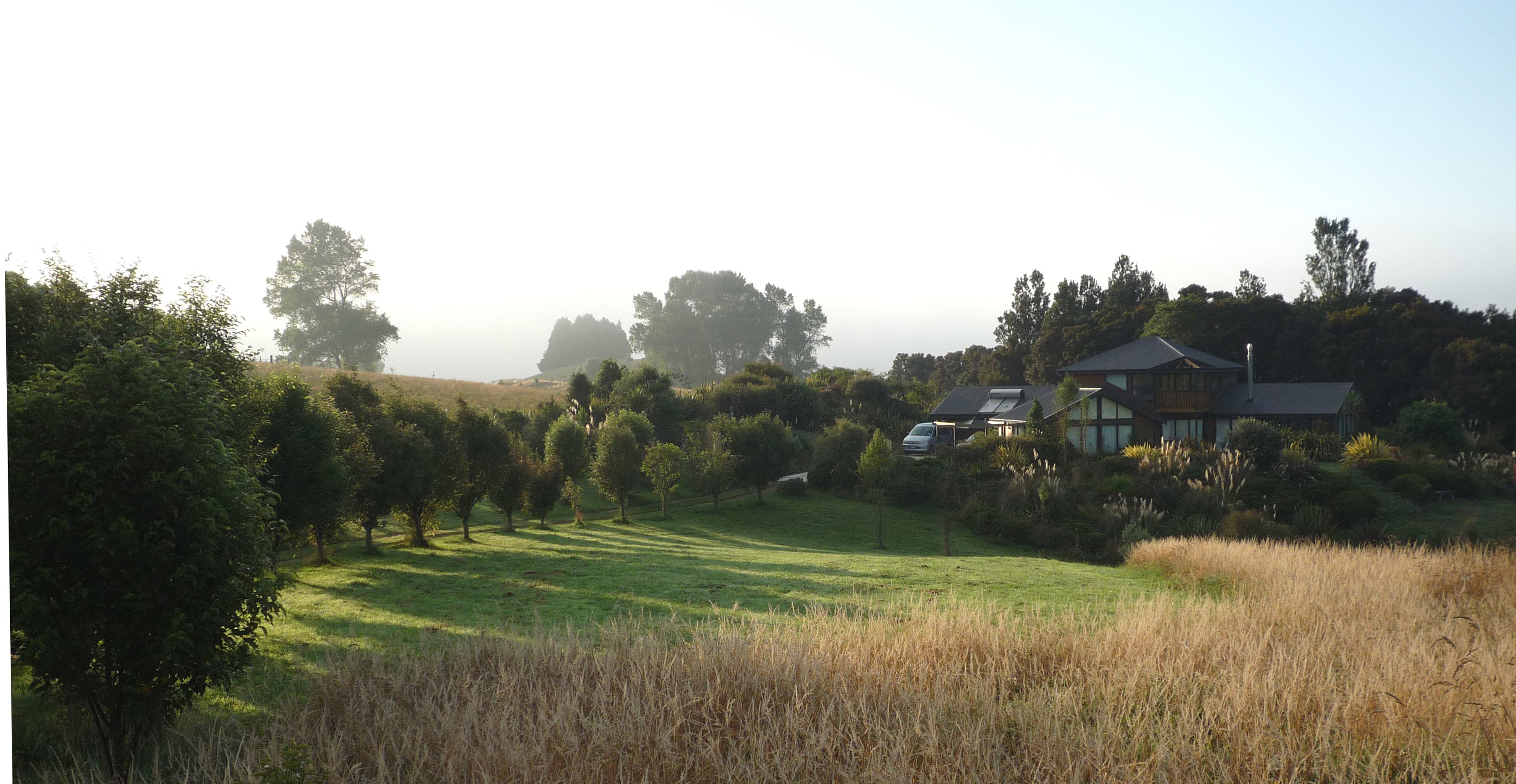 The house with establishing garden and protected bush behind.