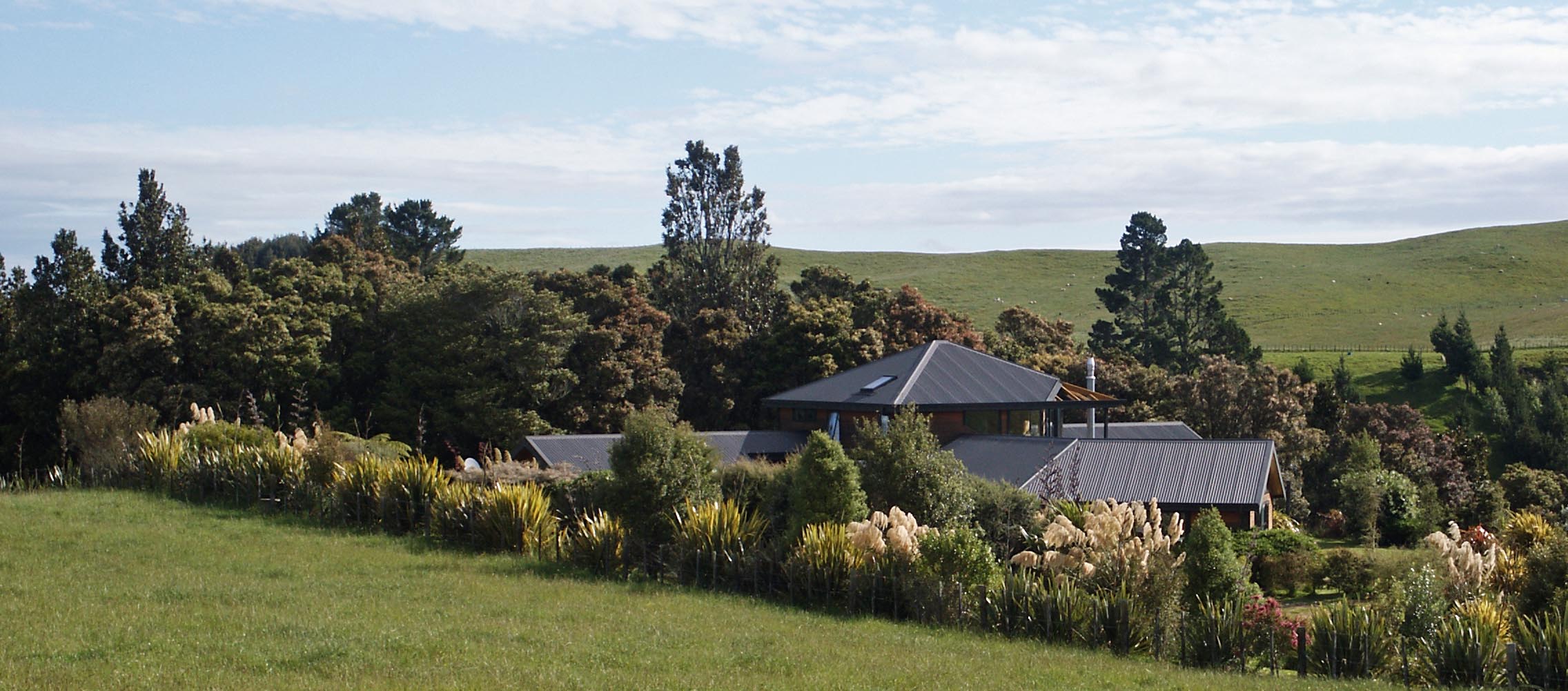 Looking back at the house from the neighbour's pasture in 2009 it is apparent that I am getting there - the this have arrived as have bell birds - they are hanging around and now nesting in the bush.
