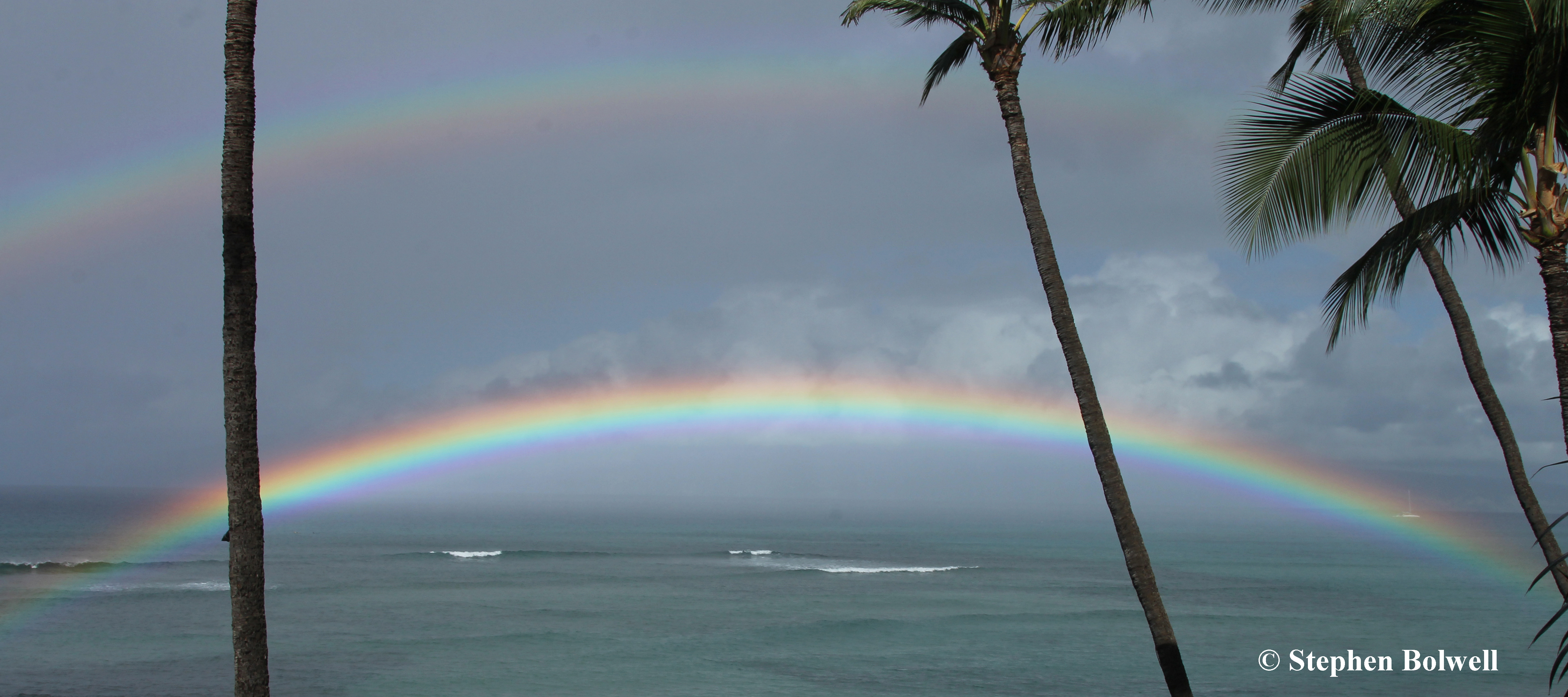Aloha!