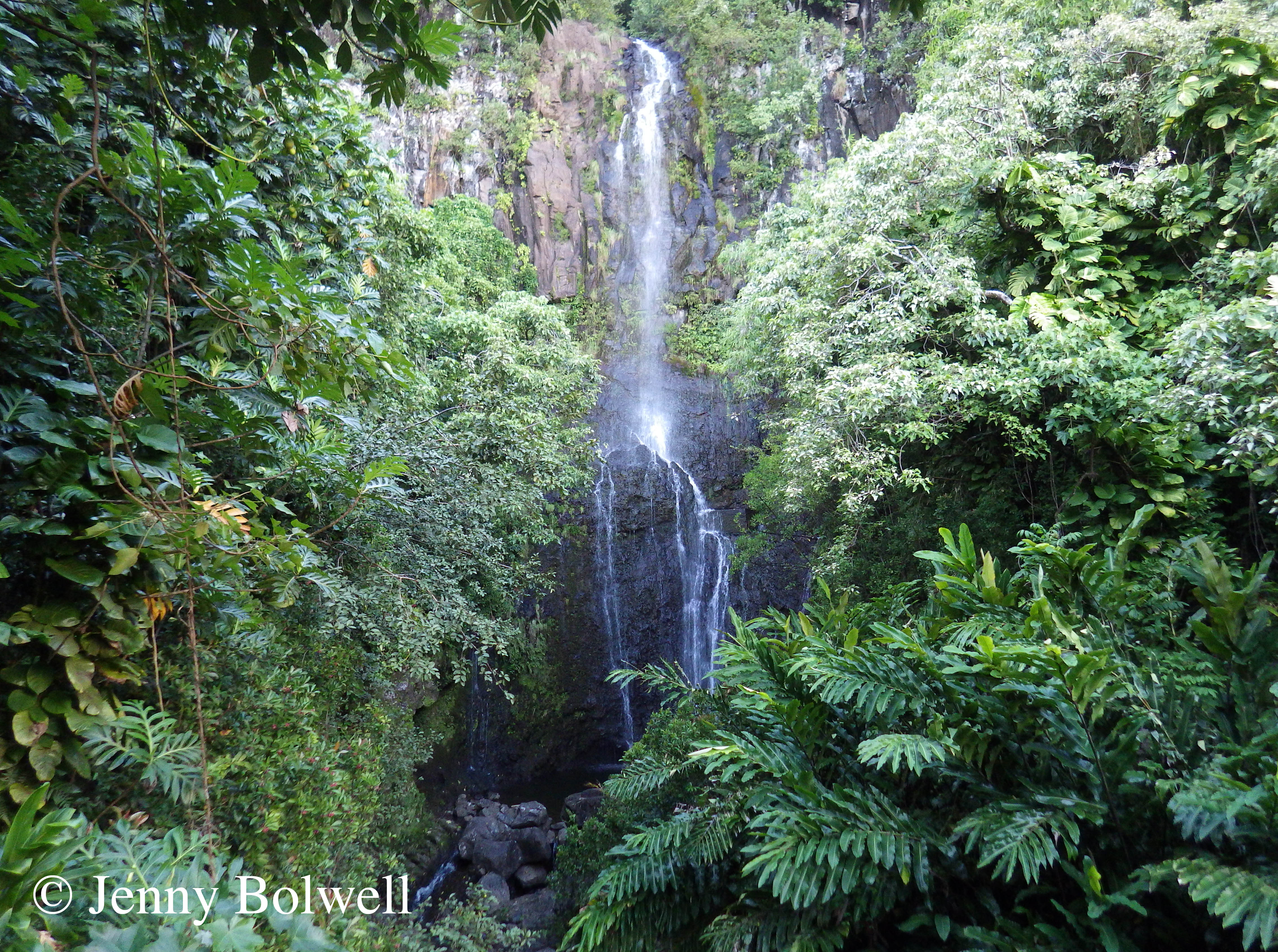 The real Hawaii - the exceptional beauty of waterfalls and forests.