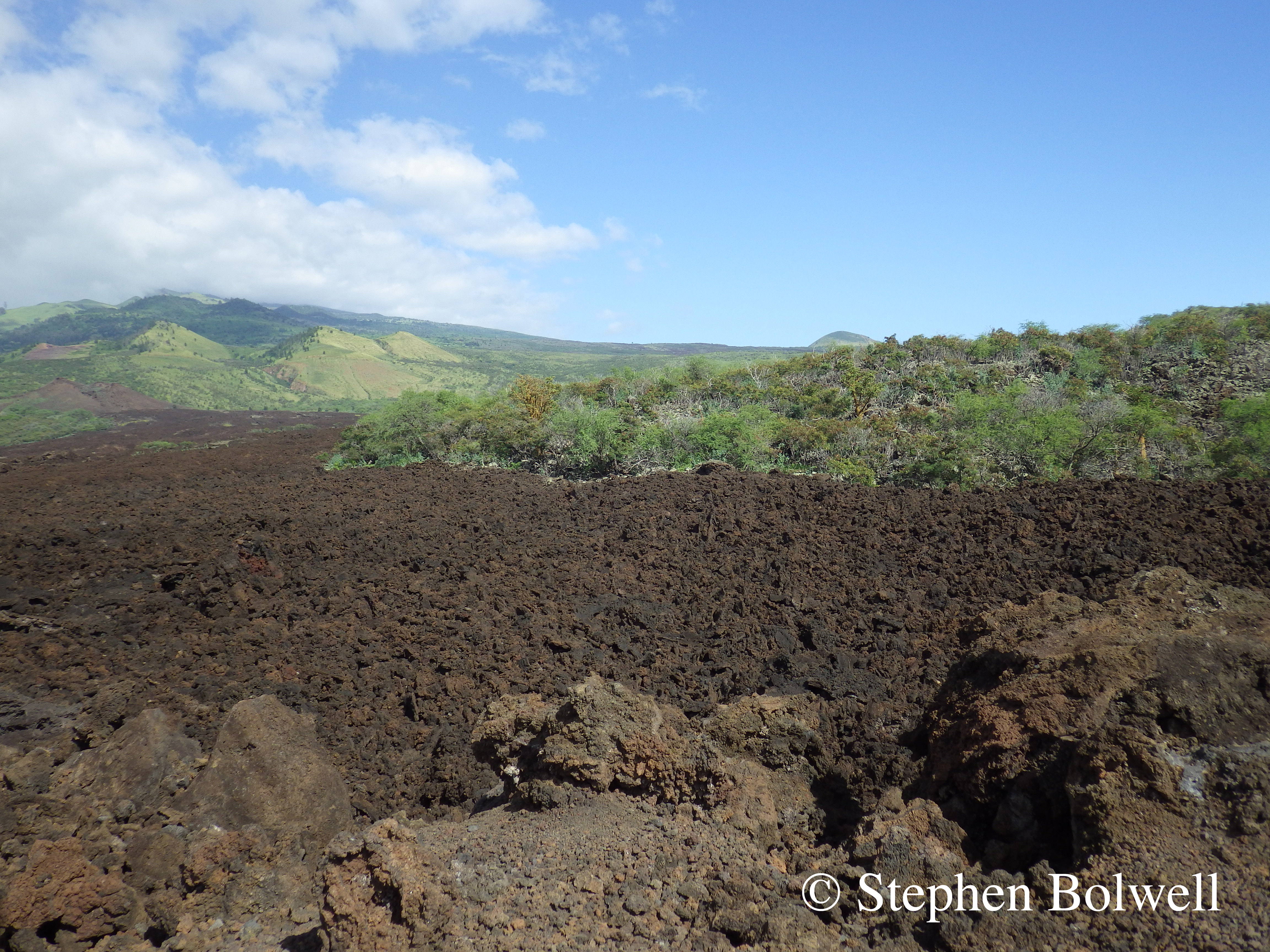 The way it all began - with larva flows and colonisation by plant life.
