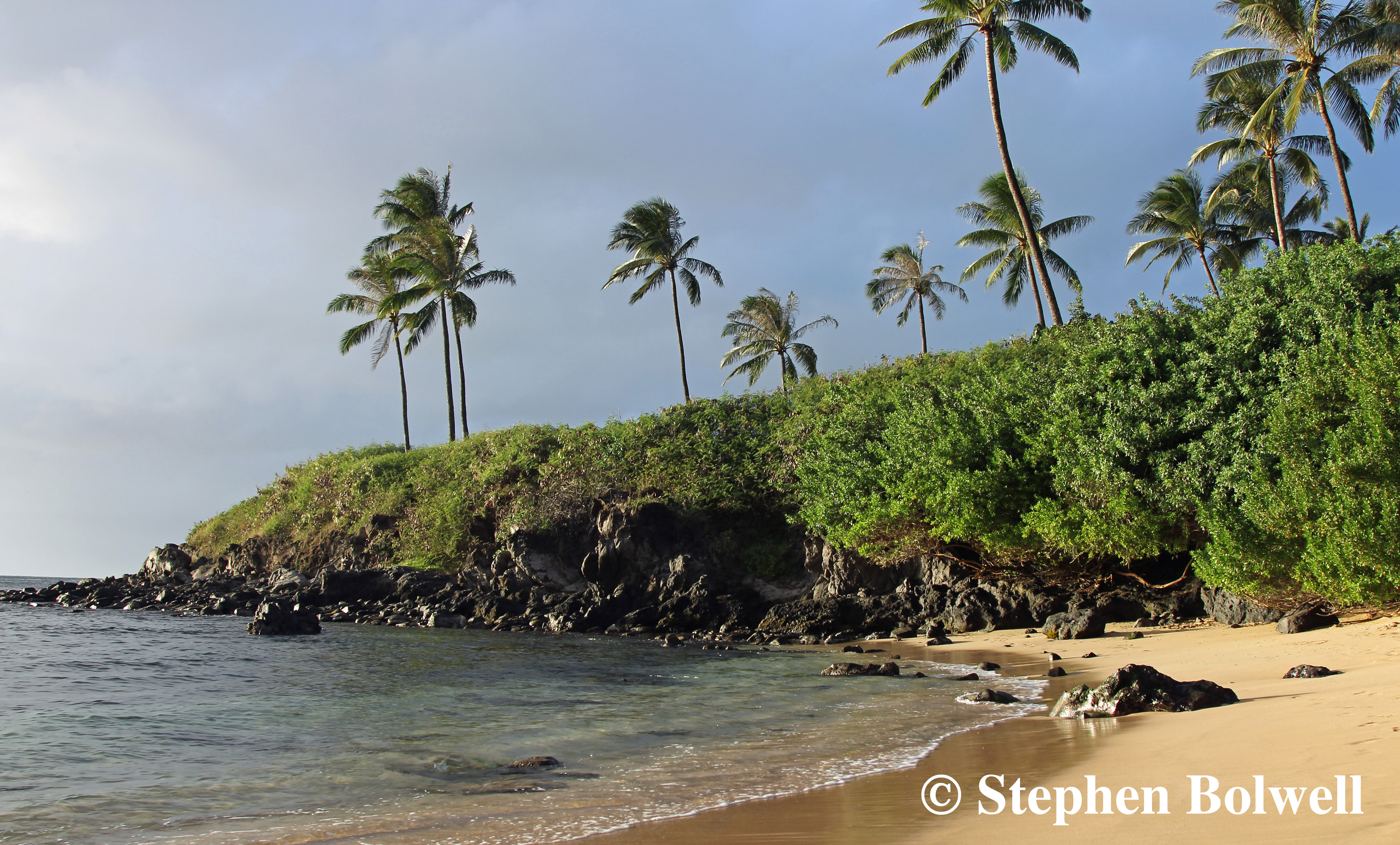 Hawaii is so beguiling - sometimes we don't notice when things are going wrong.