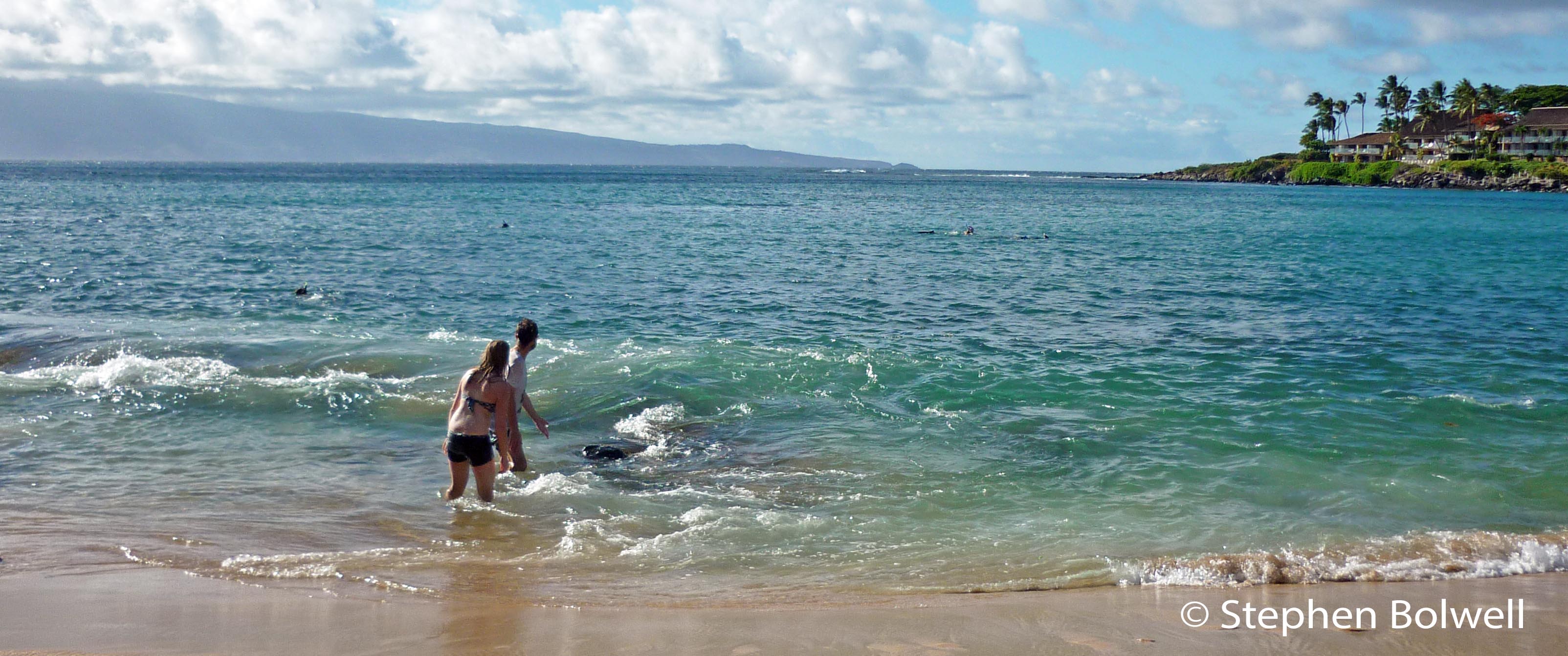 Alice and I watch a green turtle surging back and forth in shallow water.