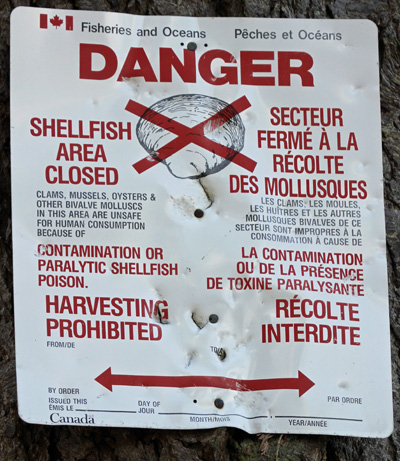 The Greater Vancouver area has been closed to the harvesting of all shellfish since 1970. How can that be? This is beautiful British Columbia. Surely I must be mistaken.