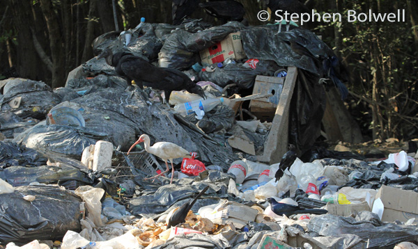 ture dump in paradise - this close by a beach cafe in a remote region of Mexico.