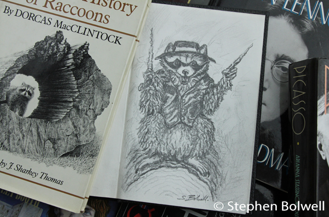 I had to empty the bookcase for my impression of Rocky Racoon. Dorcas MacClintock's book (left) 'A Natural History of Raccoons' is well worth searching out. I had to empty the bookcase to find my own impression of Rocky Racoon. Dorcas MacClintock's book is to the left; her 'A Natural History of Raccoons' is well worth searching out to learn more about this interesting creature.
