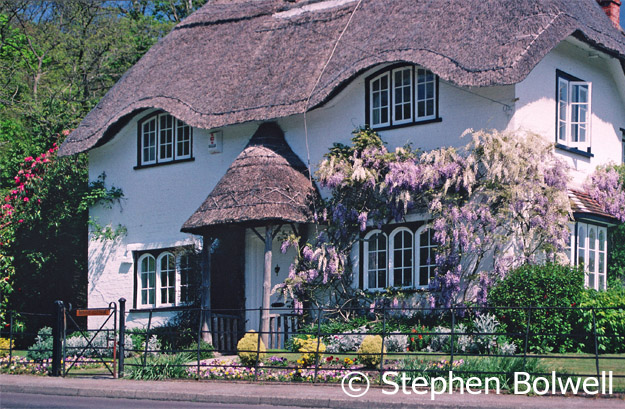 It is difficult to make the case for modernity, when there are cottages as beautiful as this one near Lyndhurst. I am guessing it was named Bee Hive Cottage because of the similarity of the thatch over the door to a traditional straw beehive.
