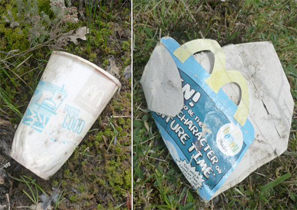 Back on the Forest I'm still finding litter. Fast food packaging forms a major part go it, and judging by how washed out these containers are some have been out on the open heath for some time.