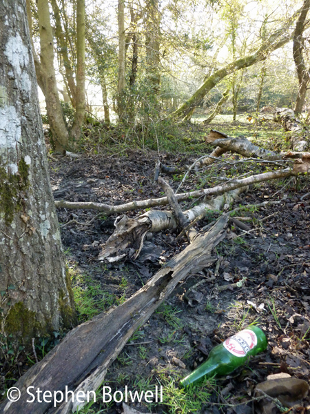 A certain percentage of the population will always be morons - and when visitor numbers goes up inevitably the litter count increases. In this case at least the discard bottle is green, so should this be a little less disturbed - I don't think so.