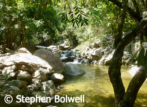 The river next to my chosen 20 metre cube is beautiful.