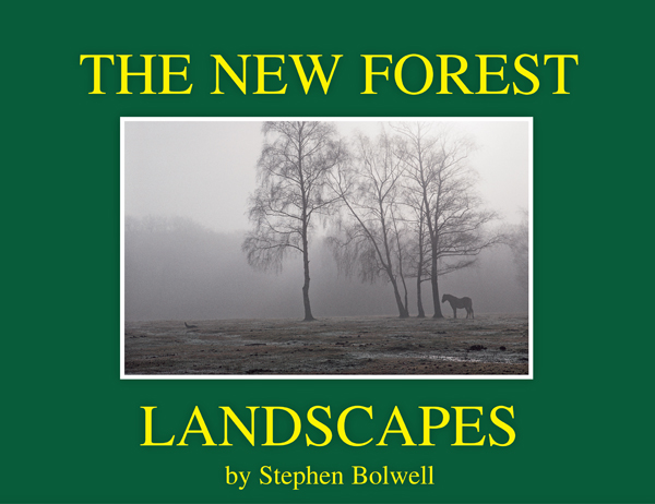The Landcacpes of The New Forest. A look at the seasons of the Forest over the last twenty five years of the 20th Century.