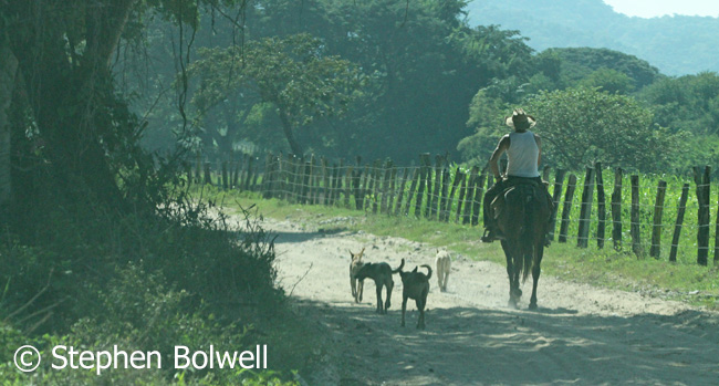 You have to go some way out of town now to see old Mexico, but many don't get much further than a local bar.