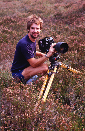 When I was filming for the BBC back in the 1980s the heathlands were healthier - that's not to say that there is no mature heather now, but back then it was certainly more extensive and less damaged and in places I deep enough to hide in order to film birds.