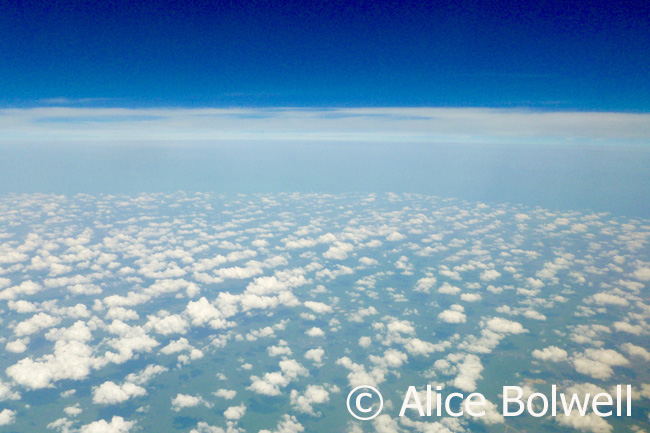 Flying nto Belize powder puff clouds line up where the land hits the sea. coastline