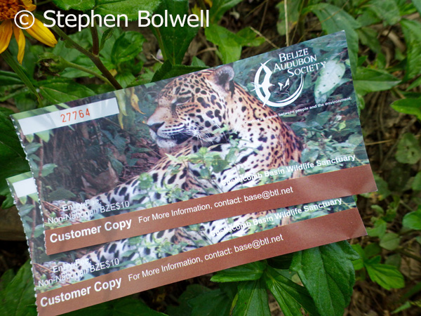 The best chance of getting a shot of a jaguar is to throw your entrance tickets onto the ground and go for the shot. Pick them up though, because these are the best park entry tickets you will ever come across.