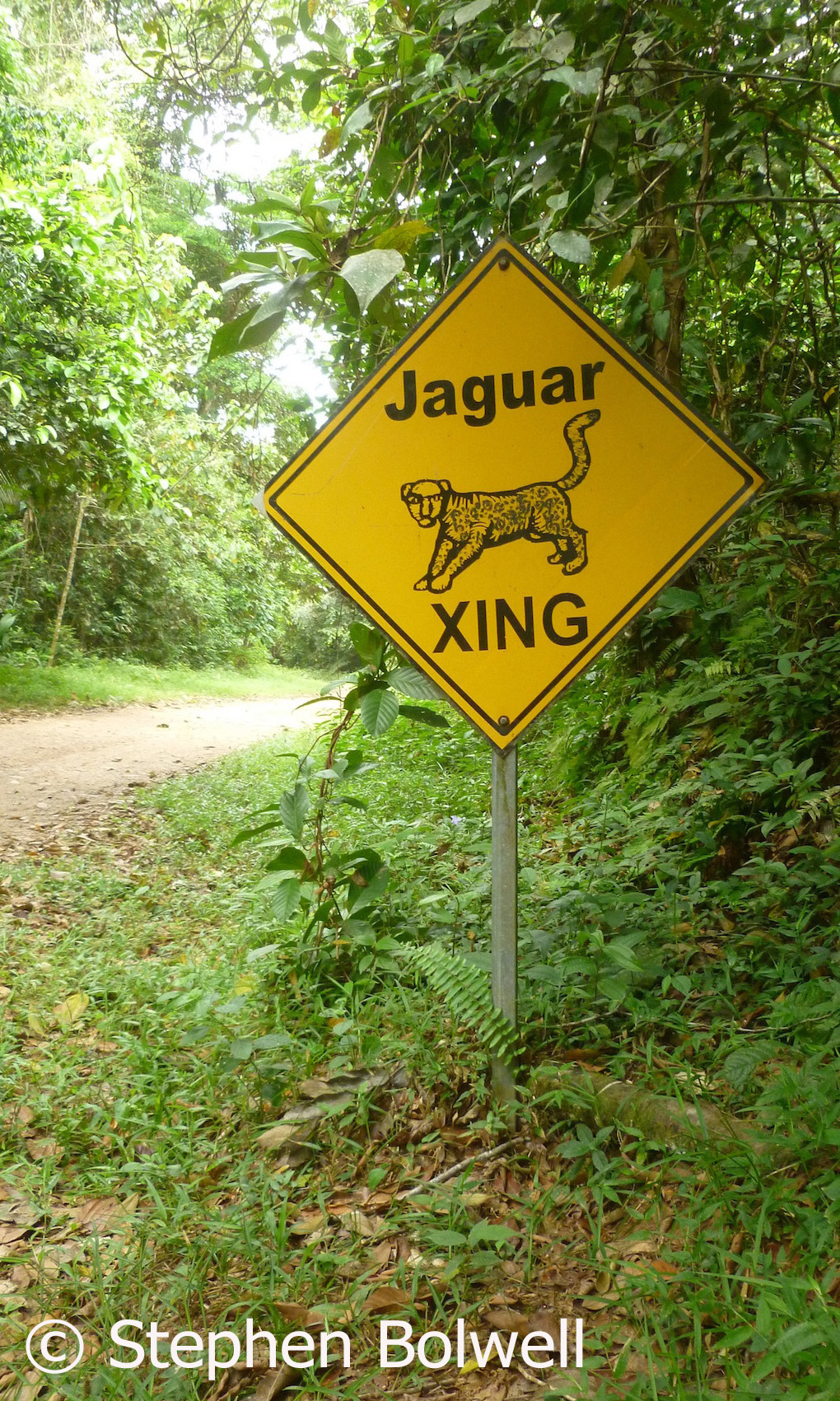 On the way into what is said to be the first Jaguar preserve in existence, we see this sign. I slow down, because jaguars can no doubt read and will crossing here.