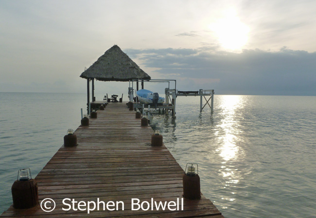Our local dock at sunrise, where Alice goes in search of grazing manatee early each morning and where Jen and Alice are rewarded with a siting.