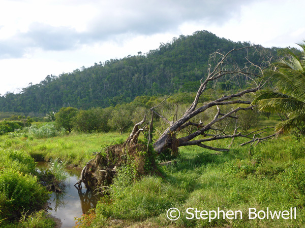 Occasionally there are pleasant views from the road - in particular along the Hummingbird Highway.