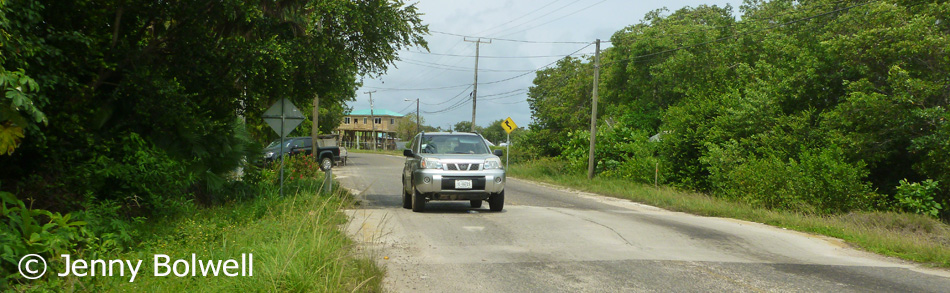 The Belizian speed hump can provide a surprise equal to any theme park ride.
