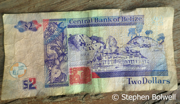 Belize money is visually agreeable, but I never saw any that wasn't worn out.