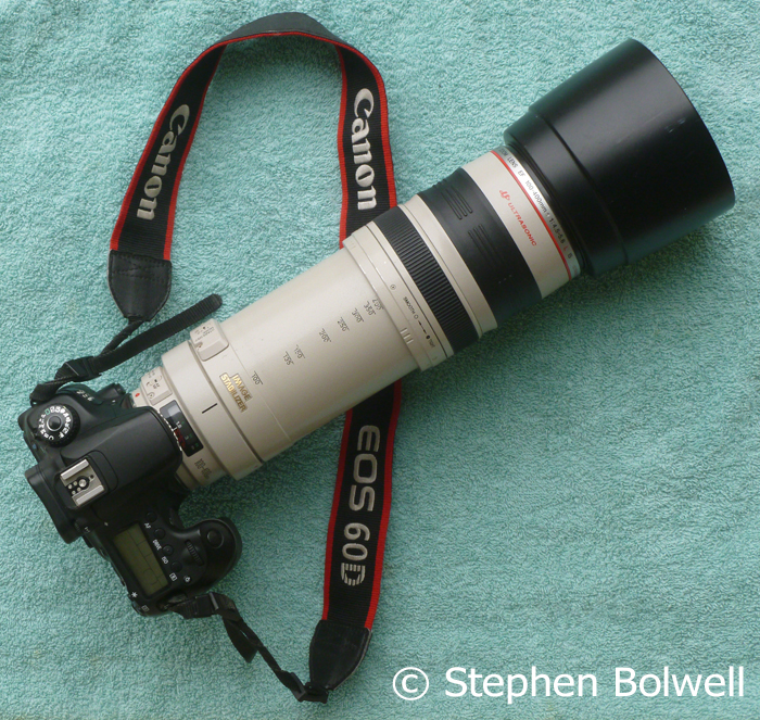 The 100-400 Canon zoom is rather oddly my standard lens.