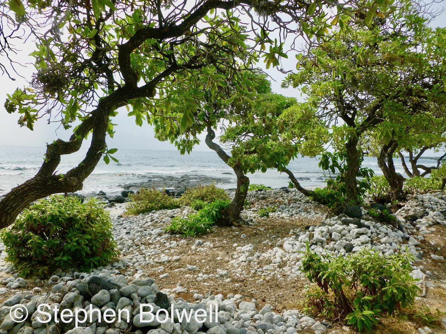 A beach on the east coast fails to disappoint despite a haze due the poorer air quality.