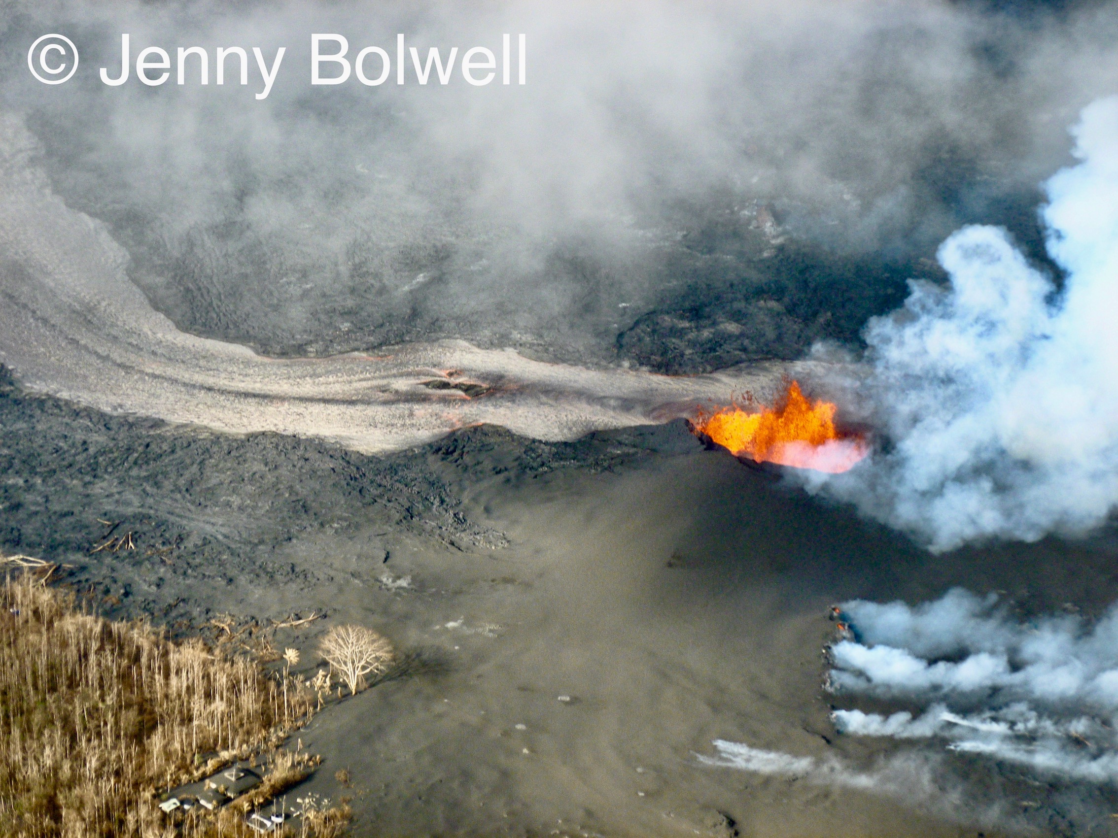 Jen's wider picture of Fissure 8 puts the lava flow into context with its surroundings.