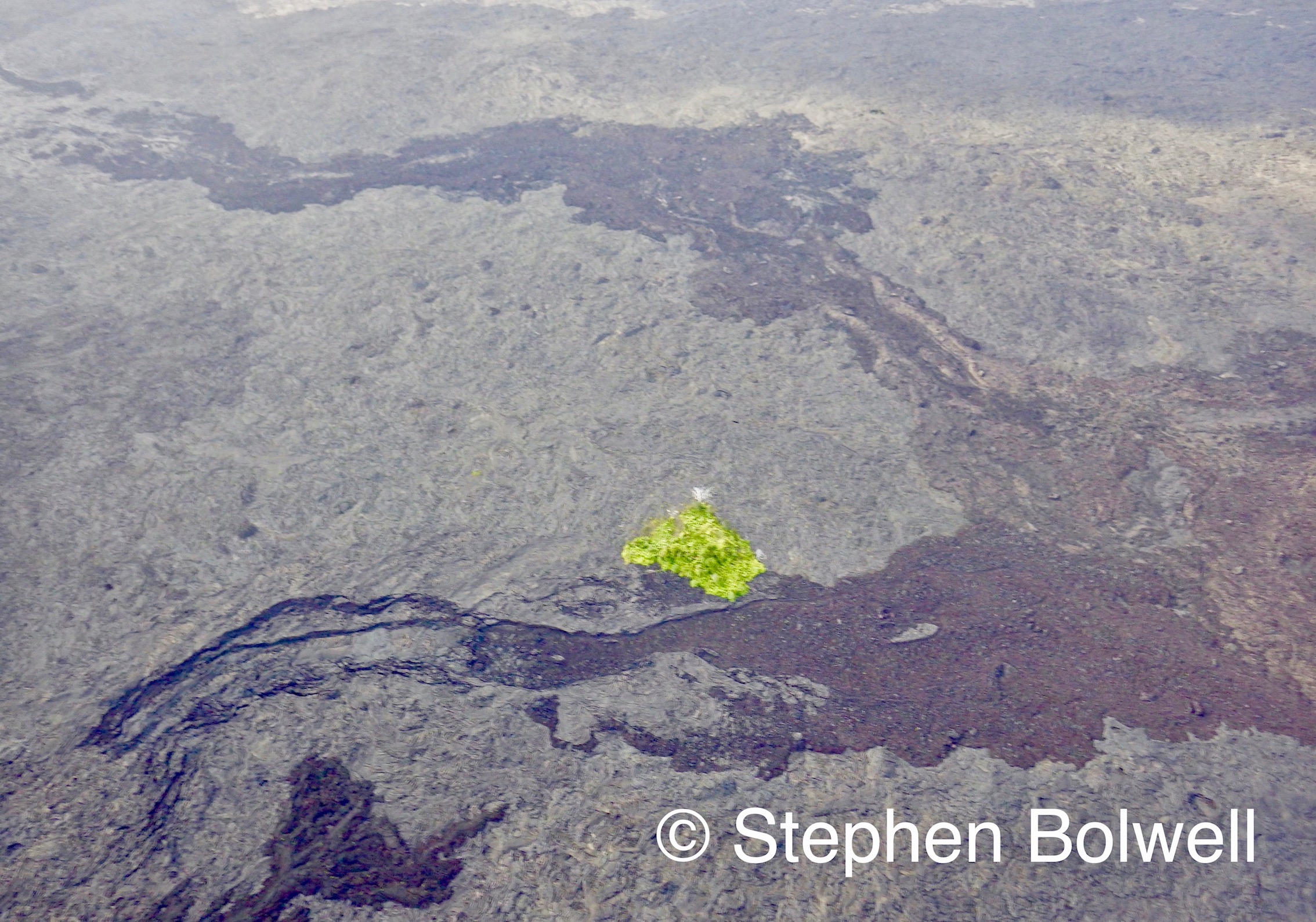 Like water lava flows to the lowest point and high ground often preserves natural areas and if they are large enough to remain viable, will retain species to eventually recolonise the area.