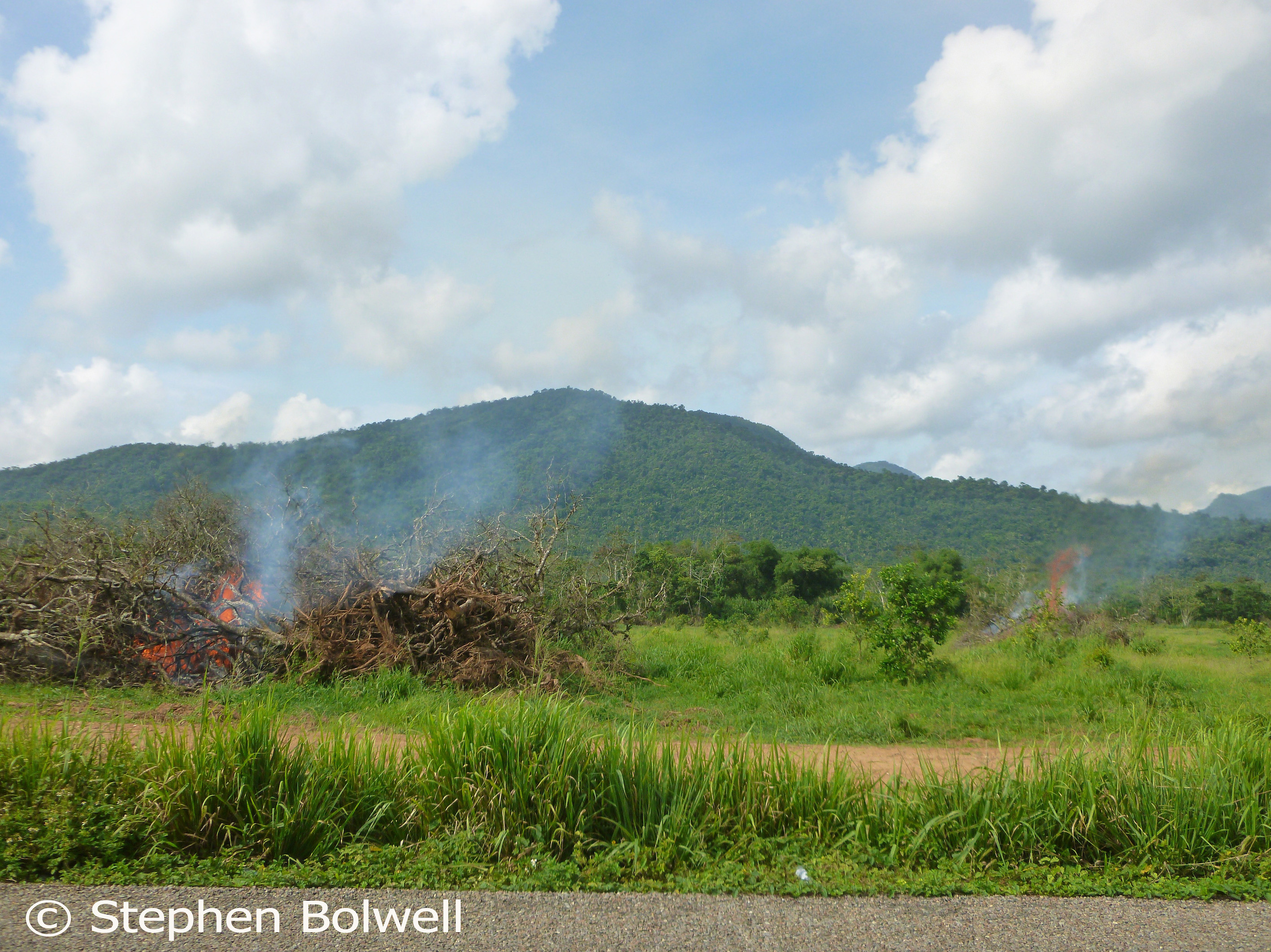 You are currently viewing Belize: The Down Side – Deforestation.