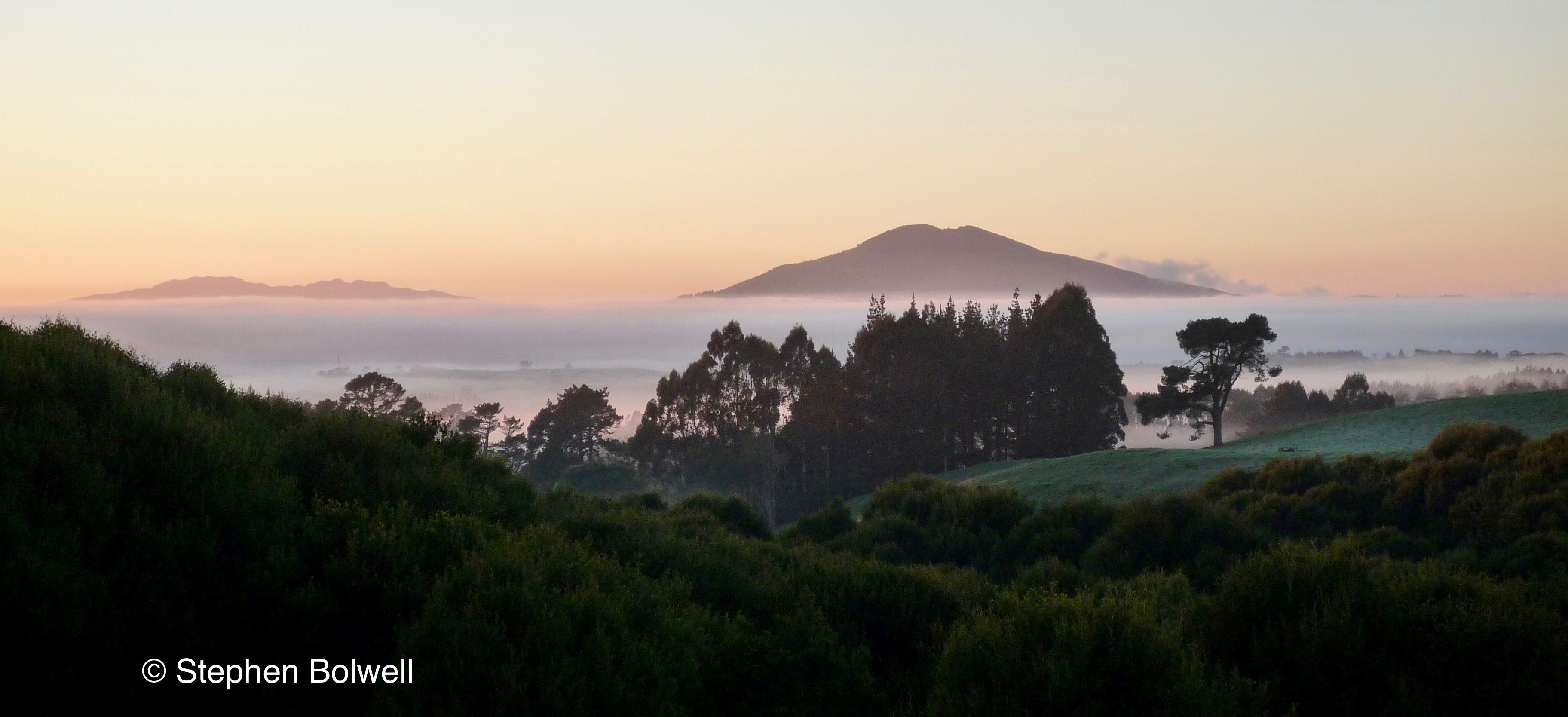 Read more about the article The Down Side of Remote Pacific Islands – The Disappearing Species of New Zealand.