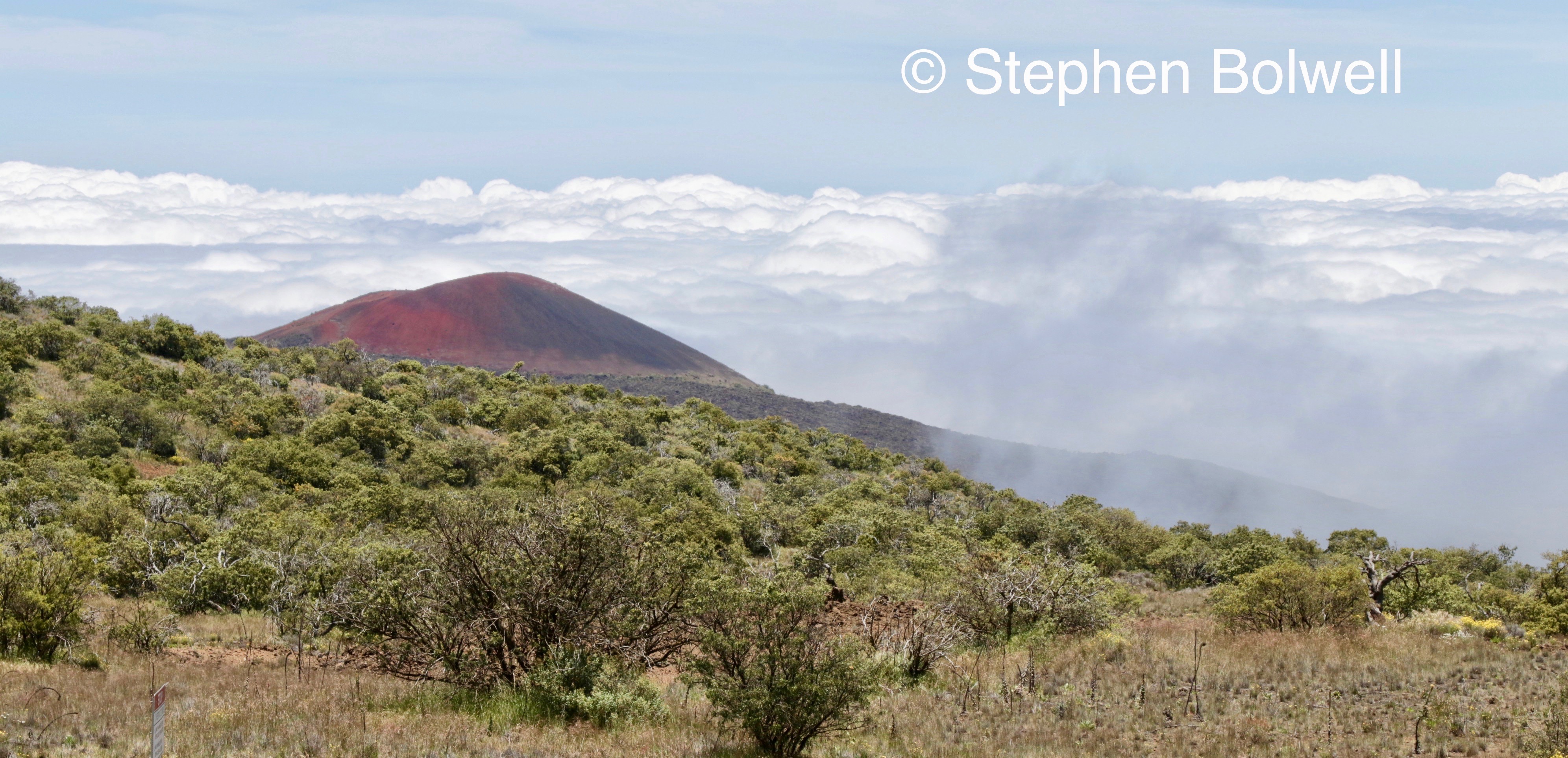 Read more about the article New Zealand and Hawaii. Remote Islands and Why Each One Is Different.