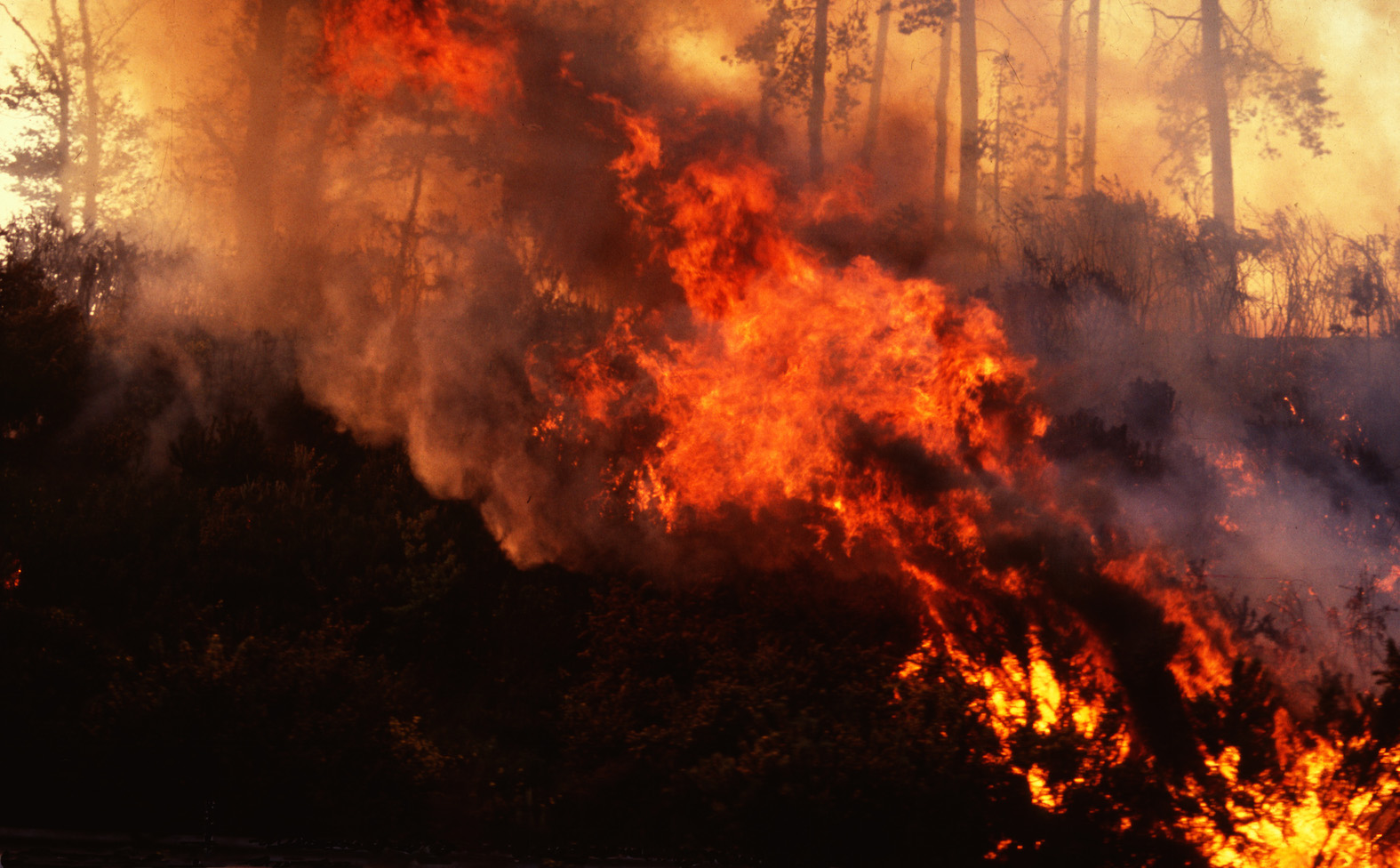 You are currently viewing SUMMERS OF FIRE, AND CHAOS IN THE U.K.. PART 1.